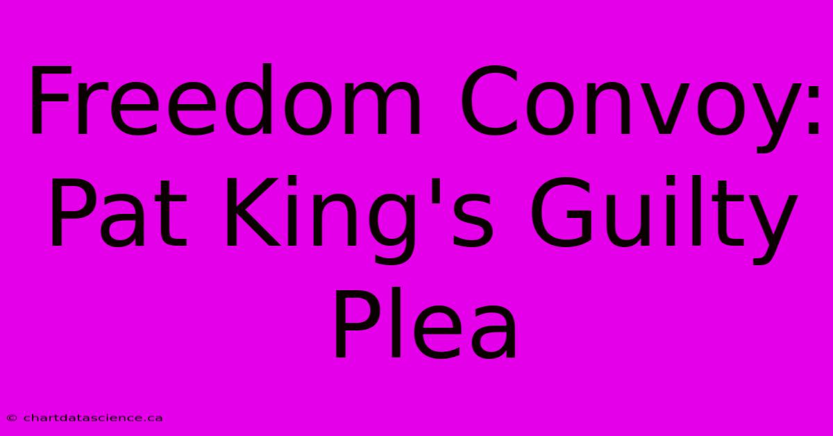 Freedom Convoy: Pat King's Guilty Plea