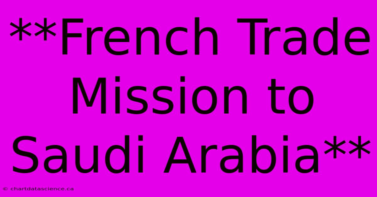 **French Trade Mission To Saudi Arabia**