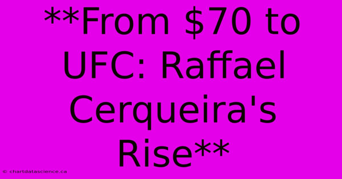 **From $70 To UFC: Raffael Cerqueira's Rise**