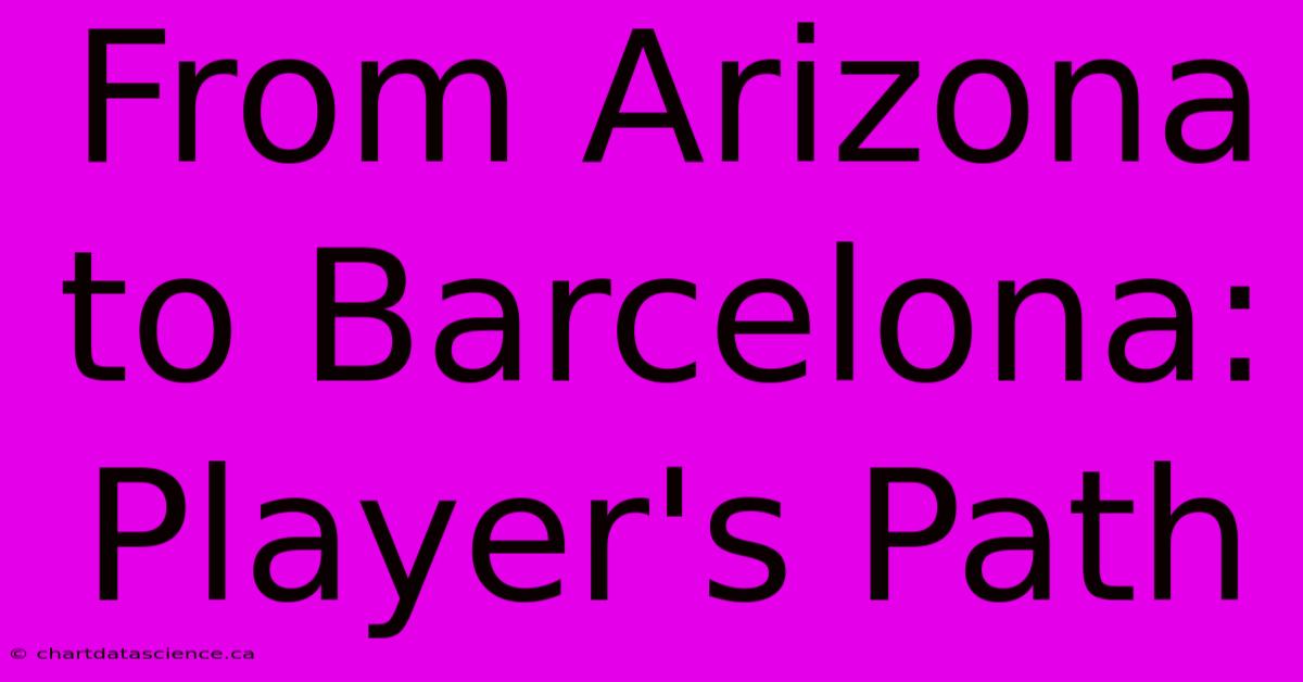 From Arizona To Barcelona: Player's Path