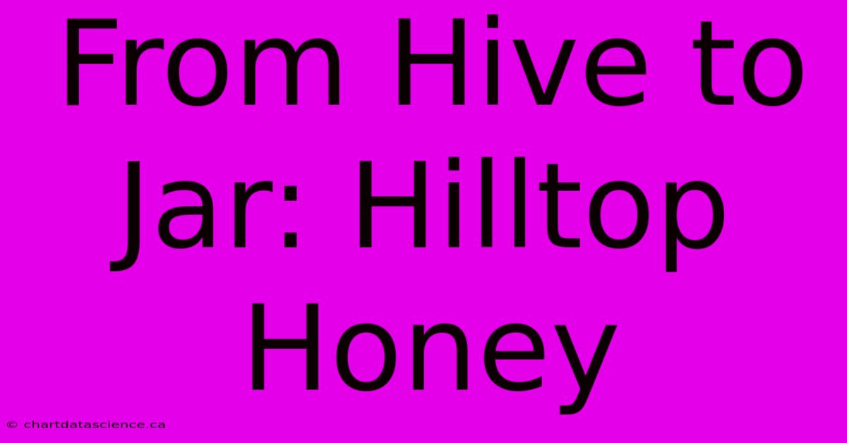 From Hive To Jar: Hilltop Honey