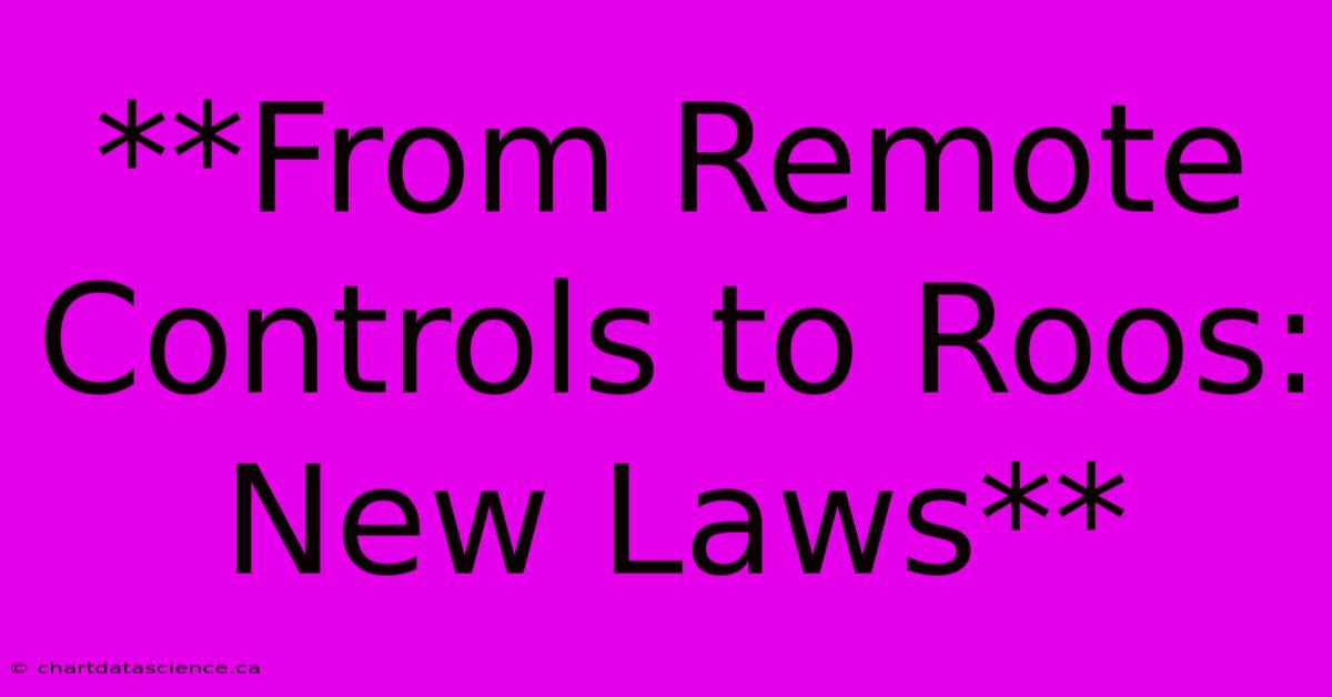 **From Remote Controls To Roos: New Laws**