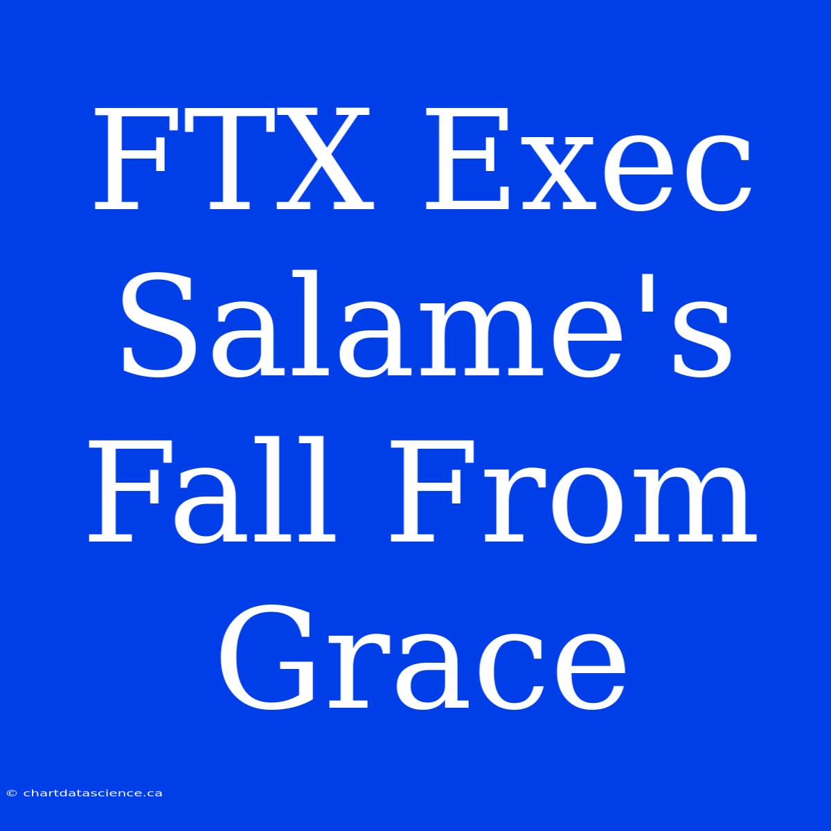 FTX Exec Salame's Fall From Grace