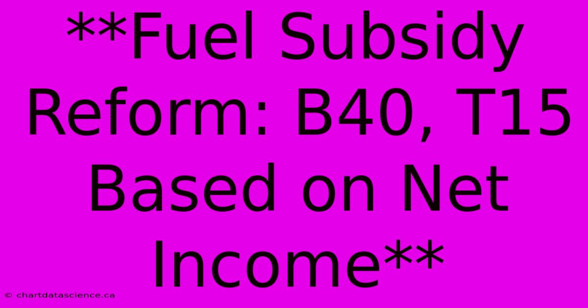 **Fuel Subsidy Reform: B40, T15 Based On Net Income**