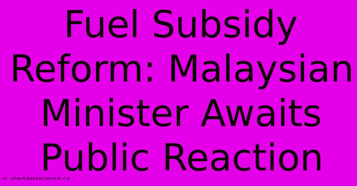 Fuel Subsidy Reform: Malaysian Minister Awaits Public Reaction