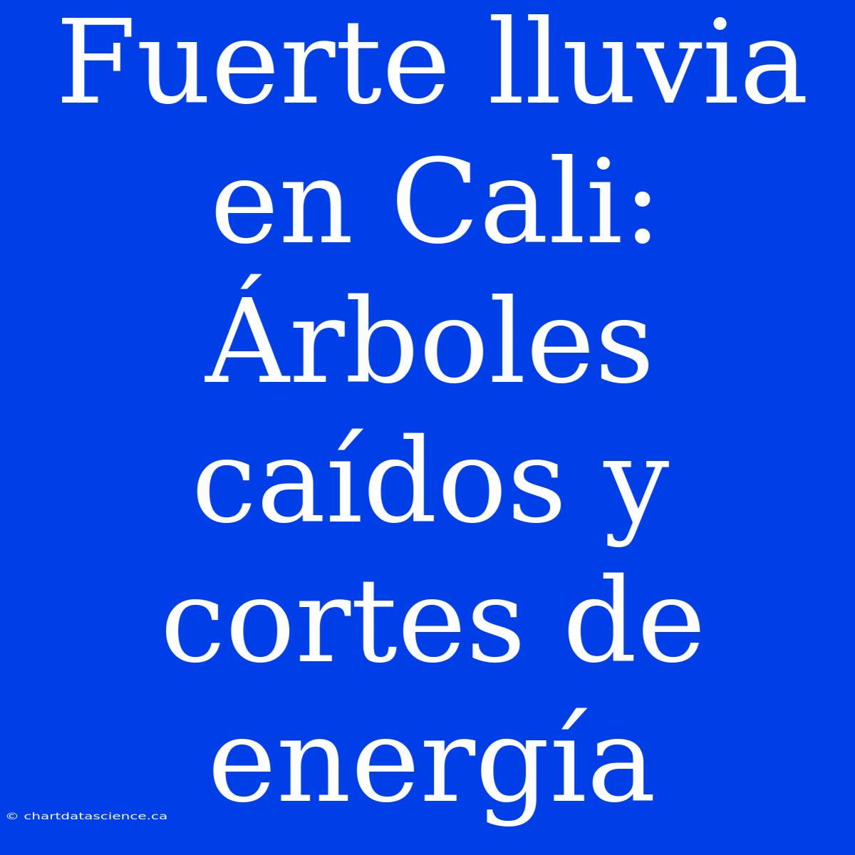 Fuerte Lluvia En Cali: Árboles Caídos Y Cortes De Energía