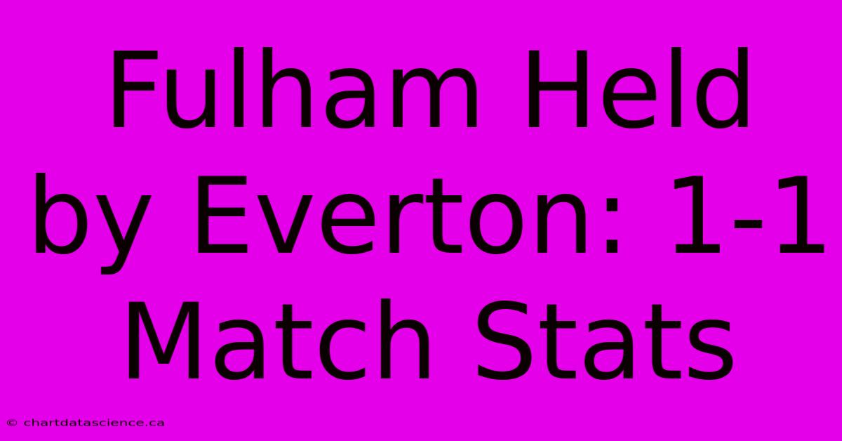 Fulham Held By Everton: 1-1 Match Stats