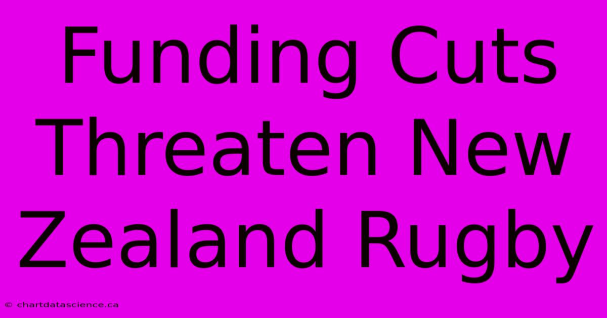 Funding Cuts Threaten New Zealand Rugby