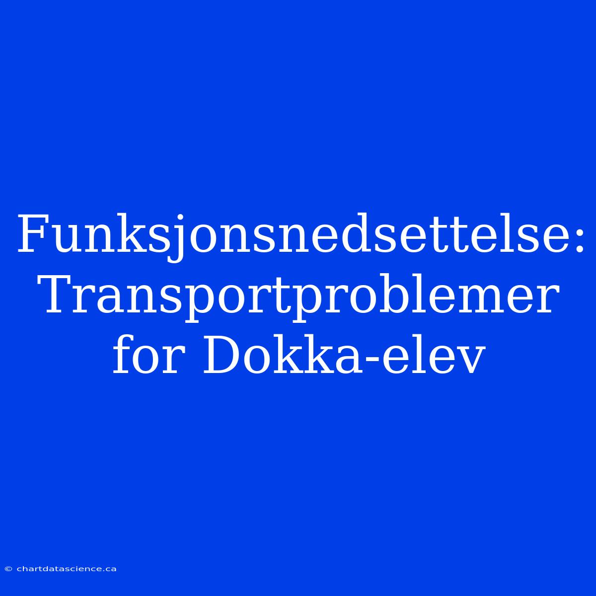 Funksjonsnedsettelse: Transportproblemer For Dokka-elev