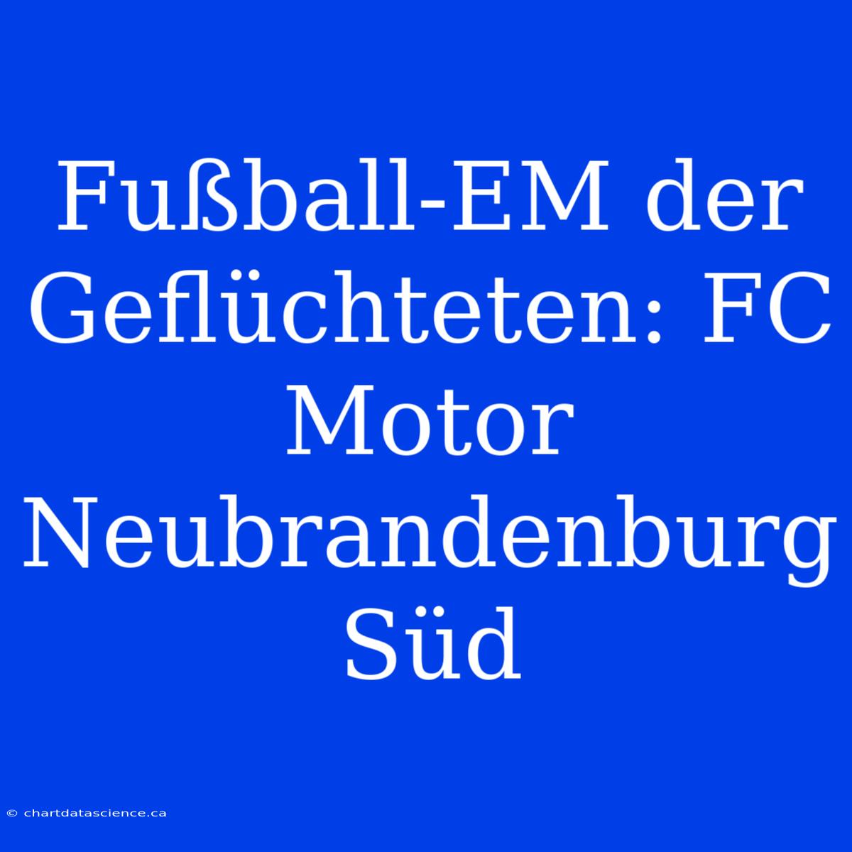 Fußball-EM Der Geflüchteten: FC Motor Neubrandenburg Süd