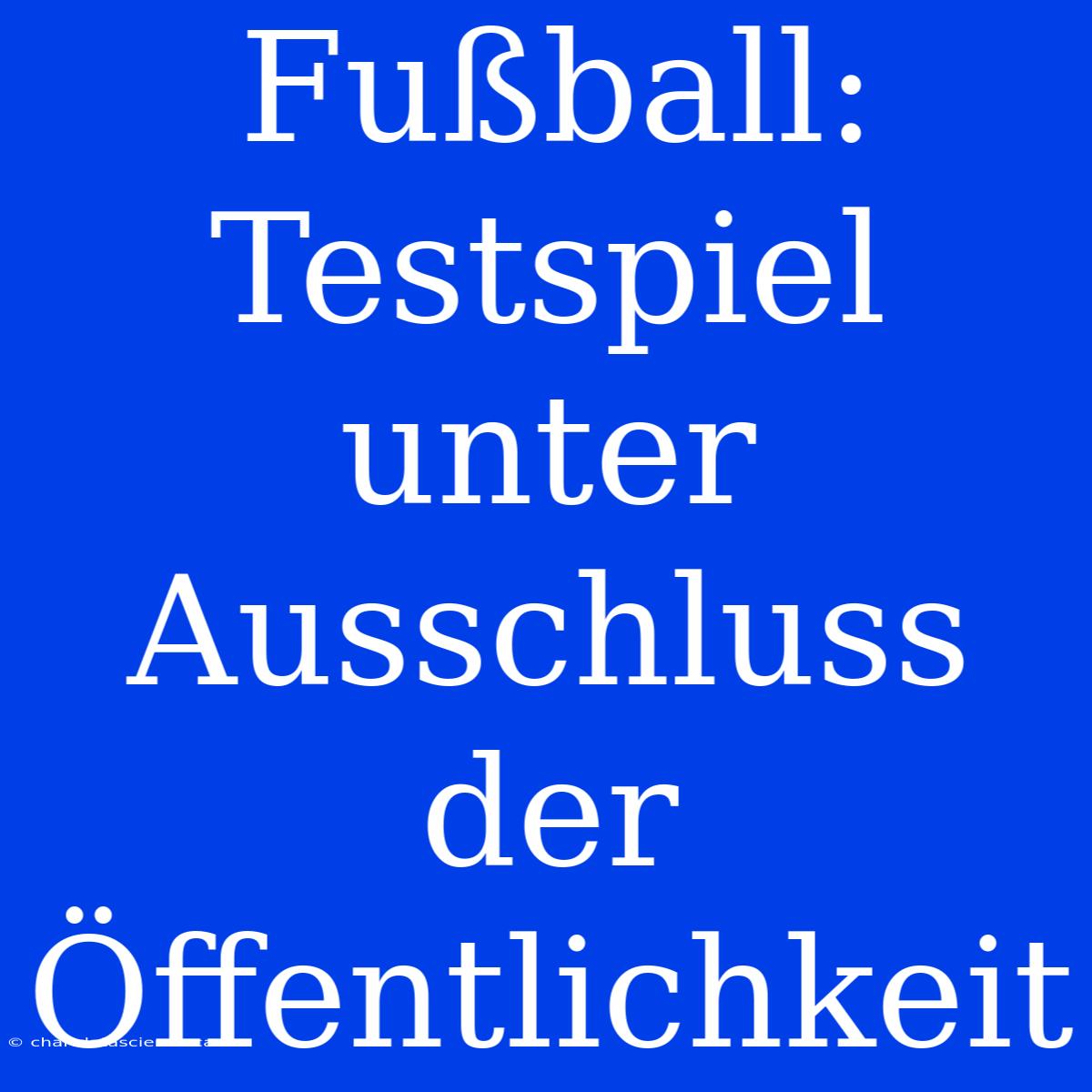 Fußball: Testspiel Unter Ausschluss Der Öffentlichkeit