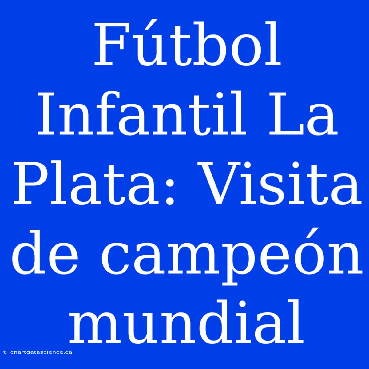 Fútbol Infantil La Plata: Visita De Campeón Mundial