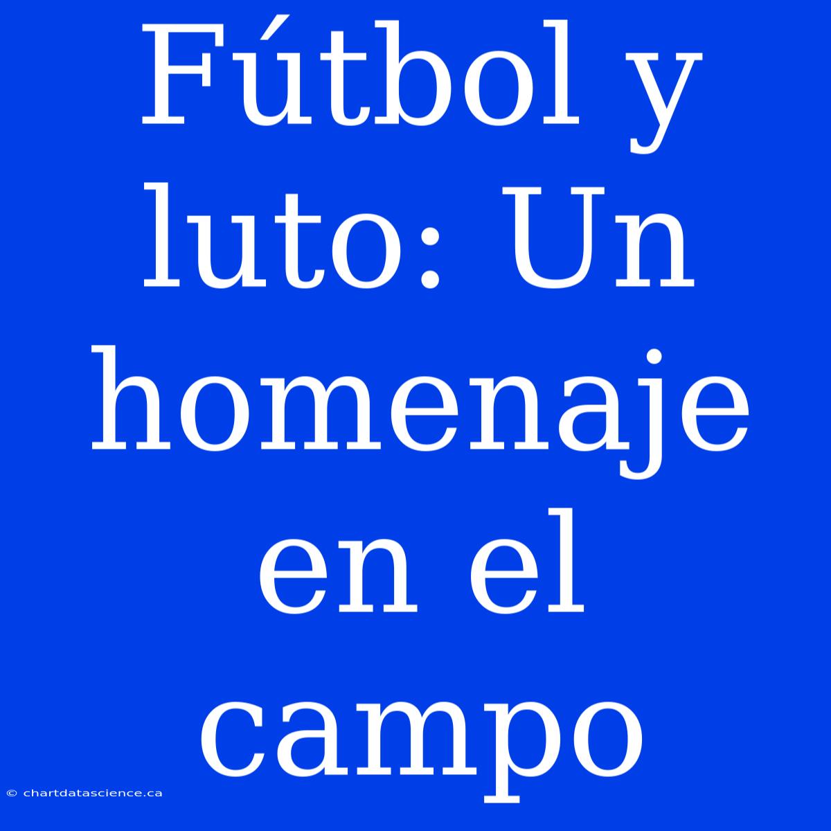 Fútbol Y Luto: Un Homenaje En El Campo