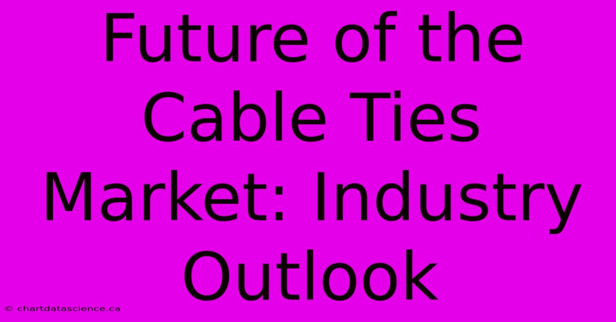 Future Of The Cable Ties Market: Industry Outlook