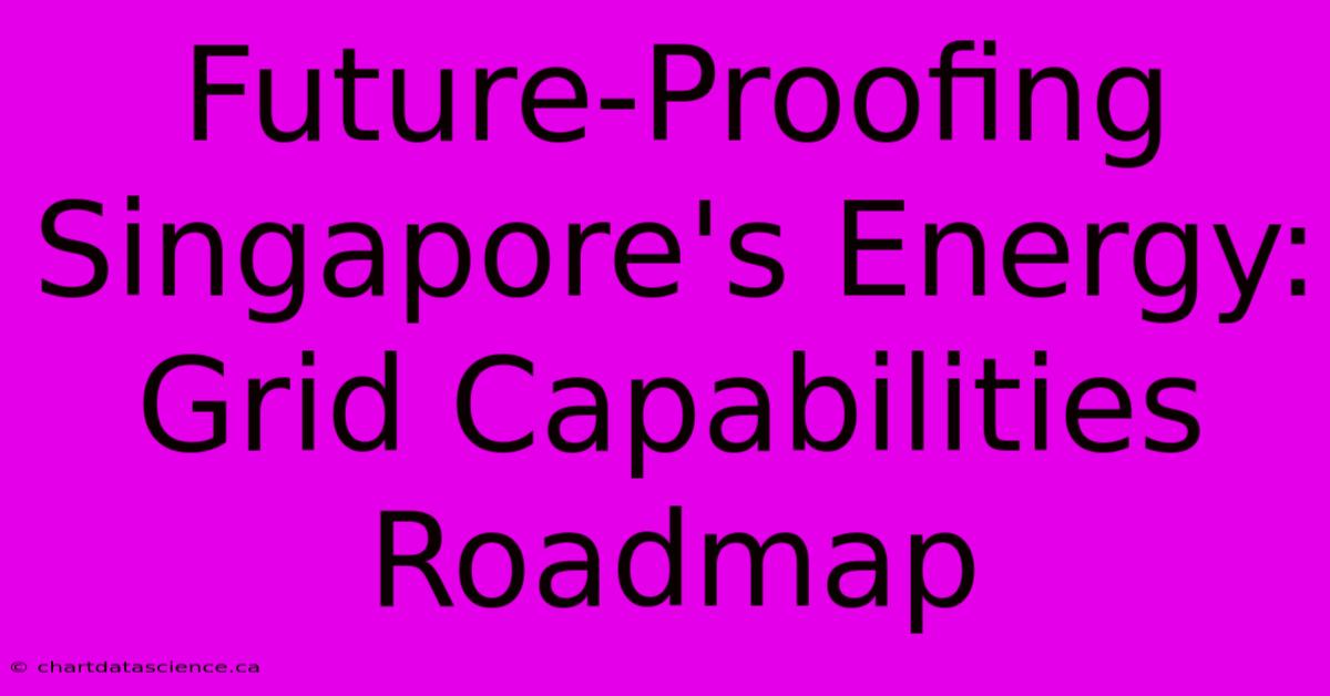 Future-Proofing Singapore's Energy: Grid Capabilities Roadmap