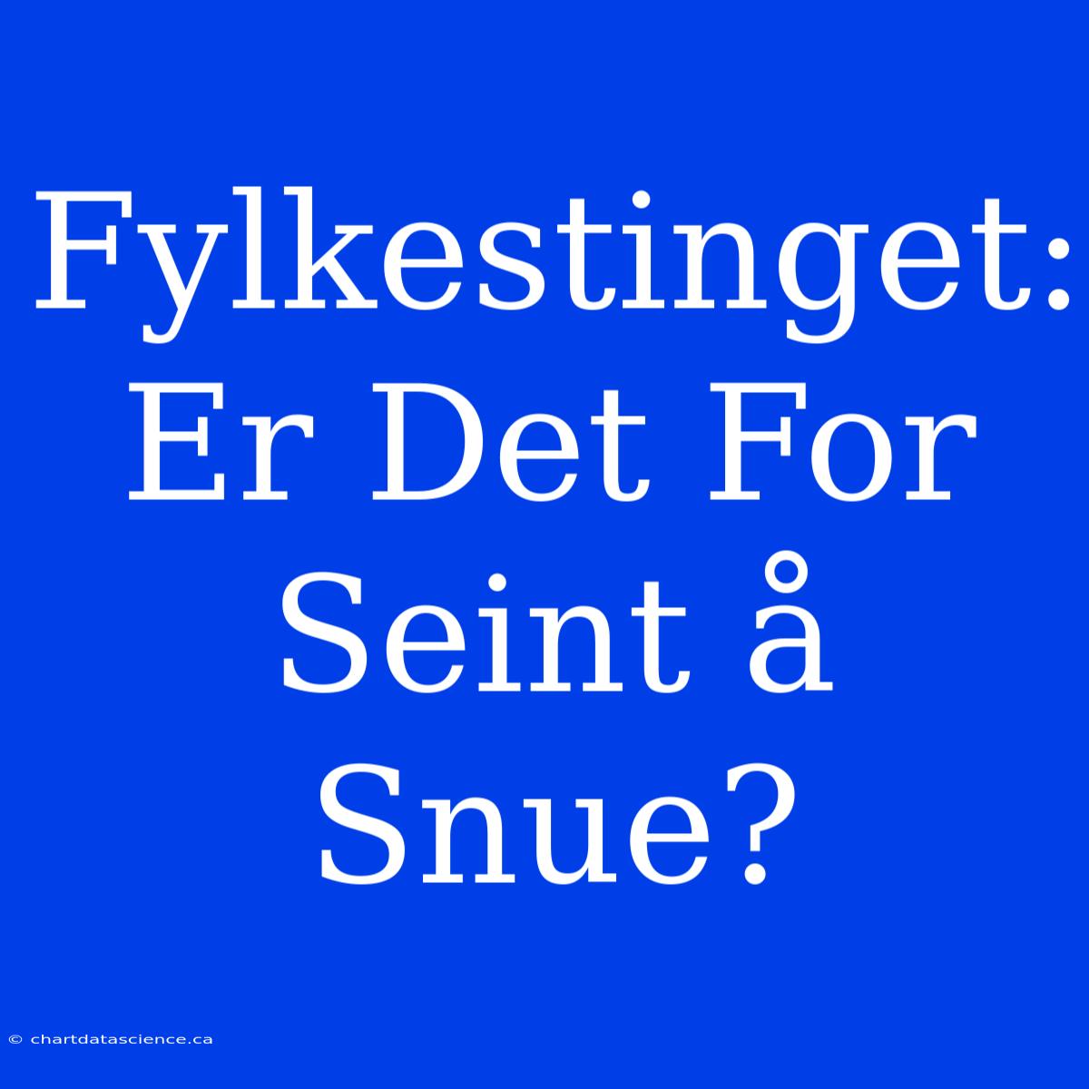 Fylkestinget: Er Det For Seint Å Snue?