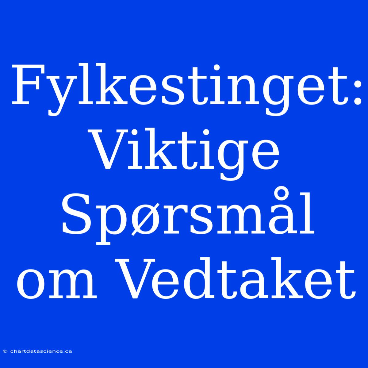 Fylkestinget: Viktige Spørsmål Om Vedtaket