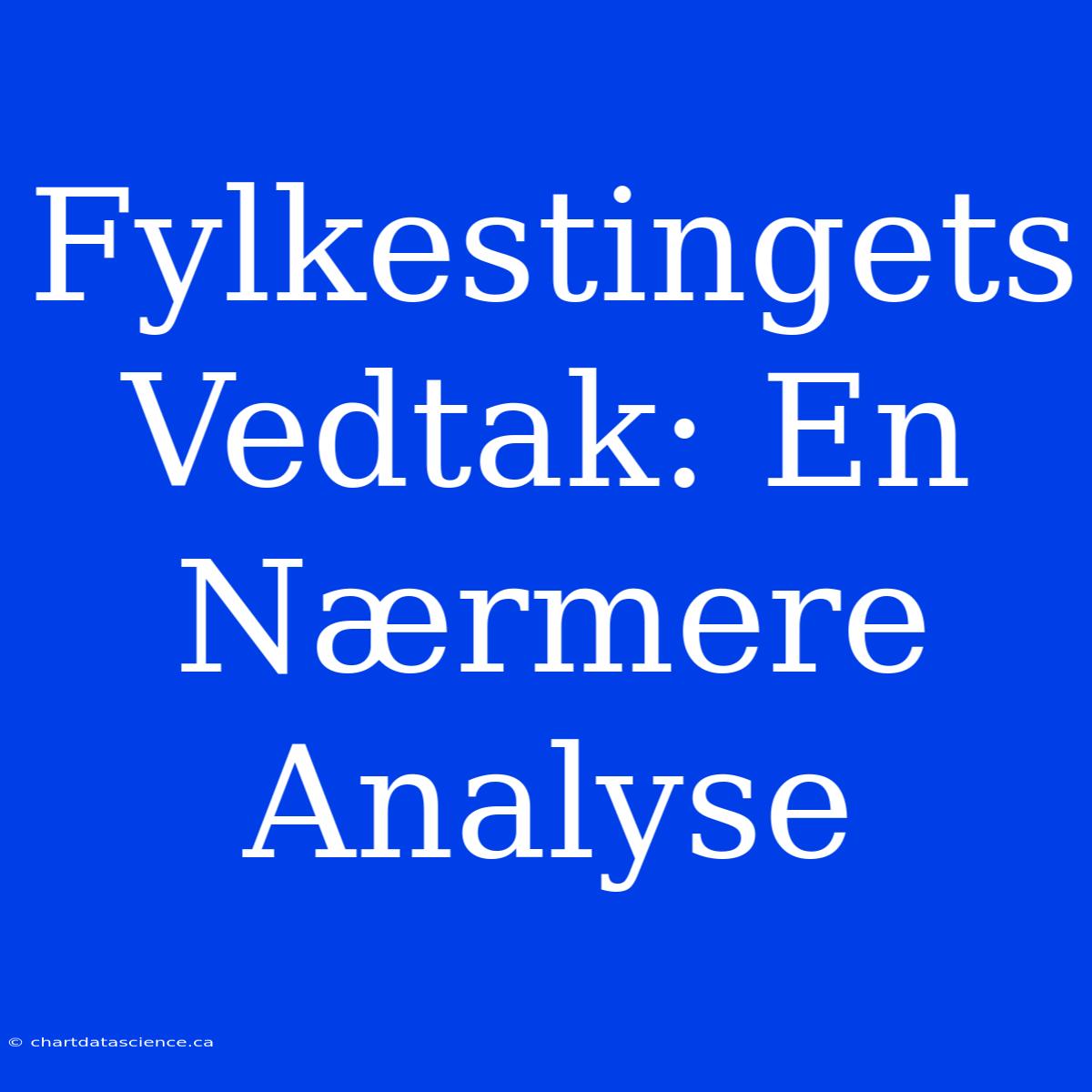 Fylkestingets Vedtak: En Nærmere Analyse