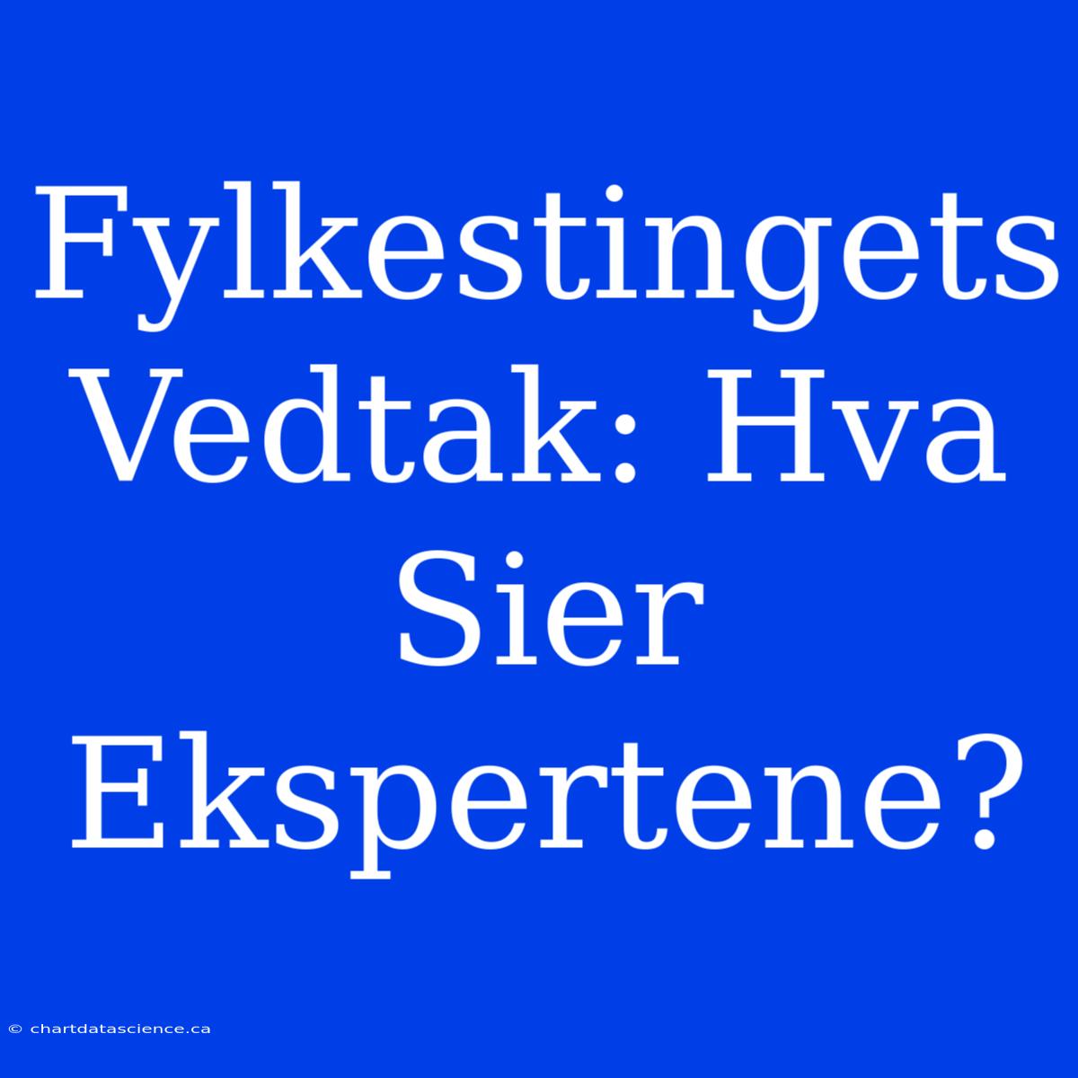 Fylkestingets Vedtak: Hva Sier Ekspertene?