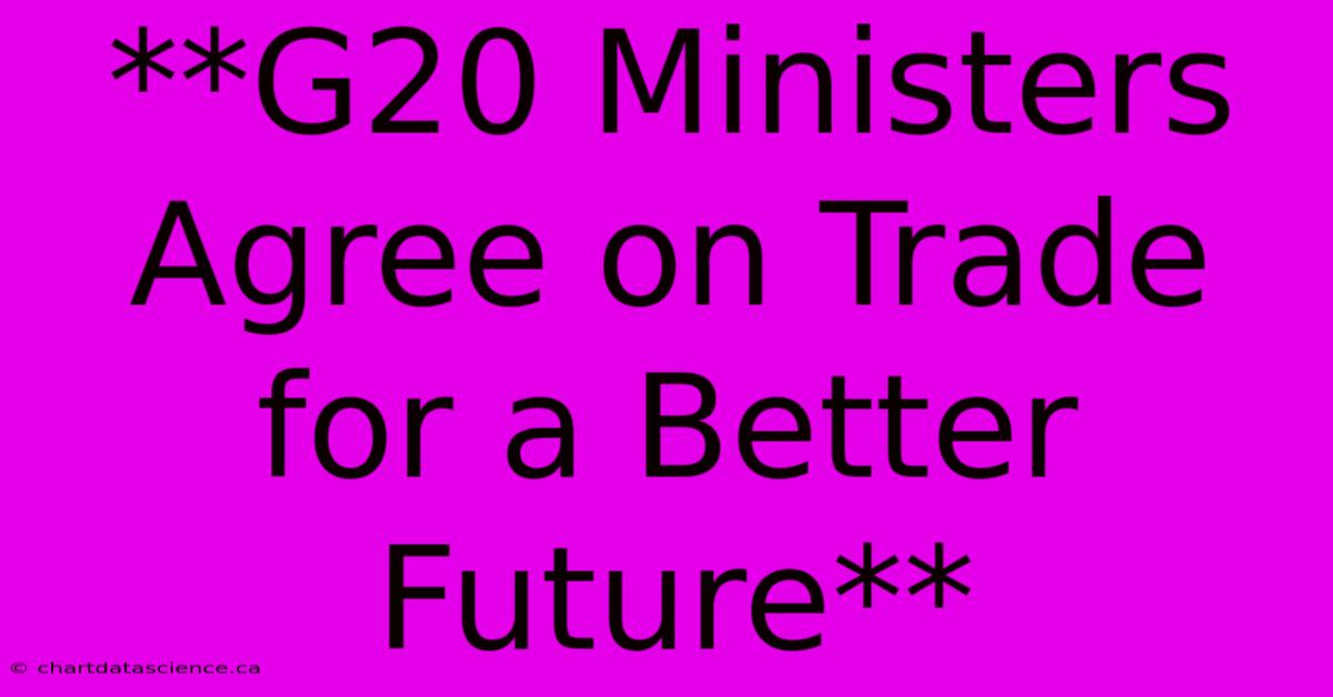 **G20 Ministers Agree On Trade For A Better Future** 