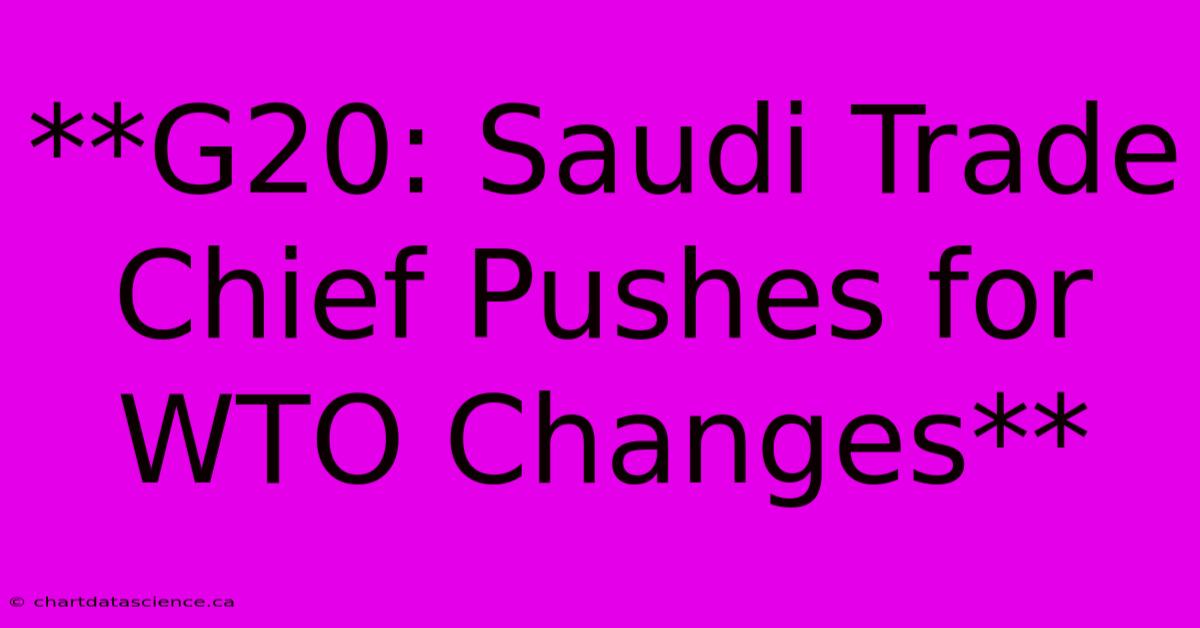 **G20: Saudi Trade Chief Pushes For WTO Changes**