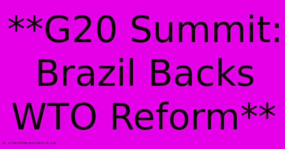 **G20 Summit: Brazil Backs WTO Reform**