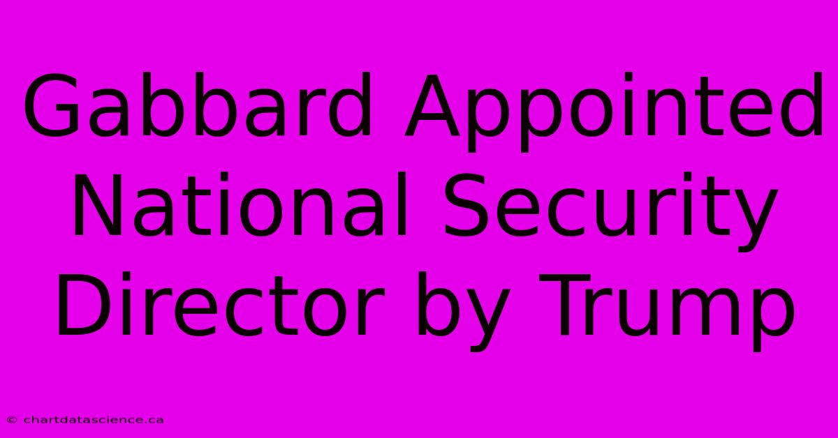 Gabbard Appointed National Security Director By Trump