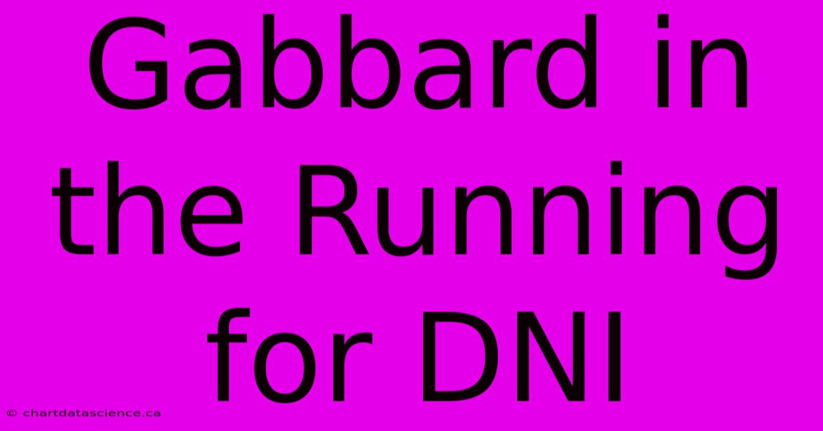 Gabbard In The Running For DNI