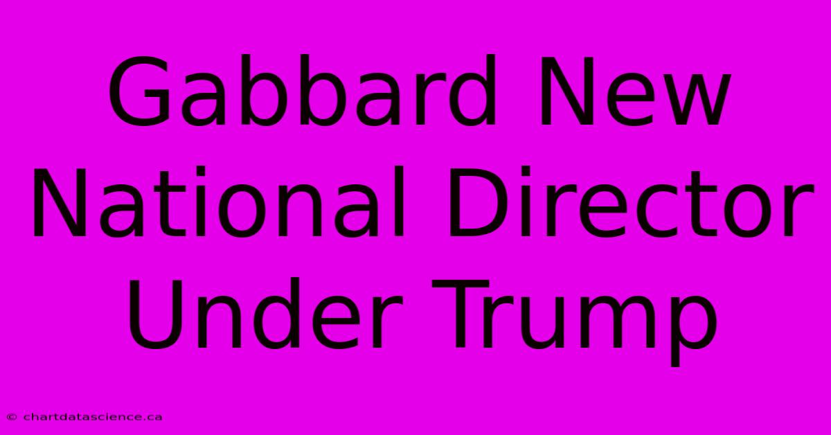 Gabbard New National Director Under Trump