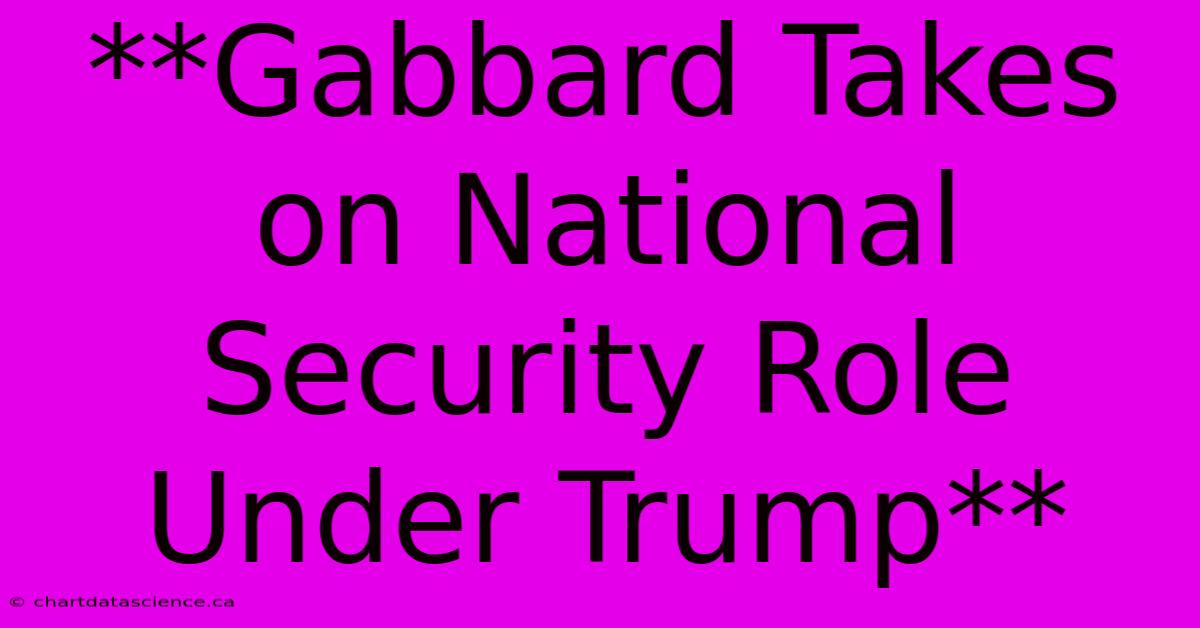 **Gabbard Takes On National Security Role Under Trump** 