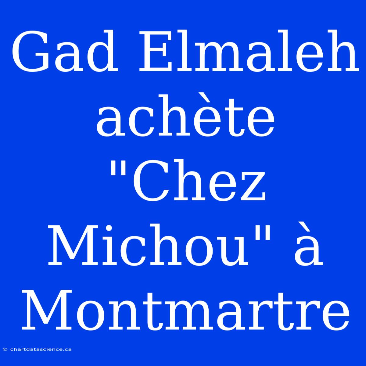 Gad Elmaleh Achète 