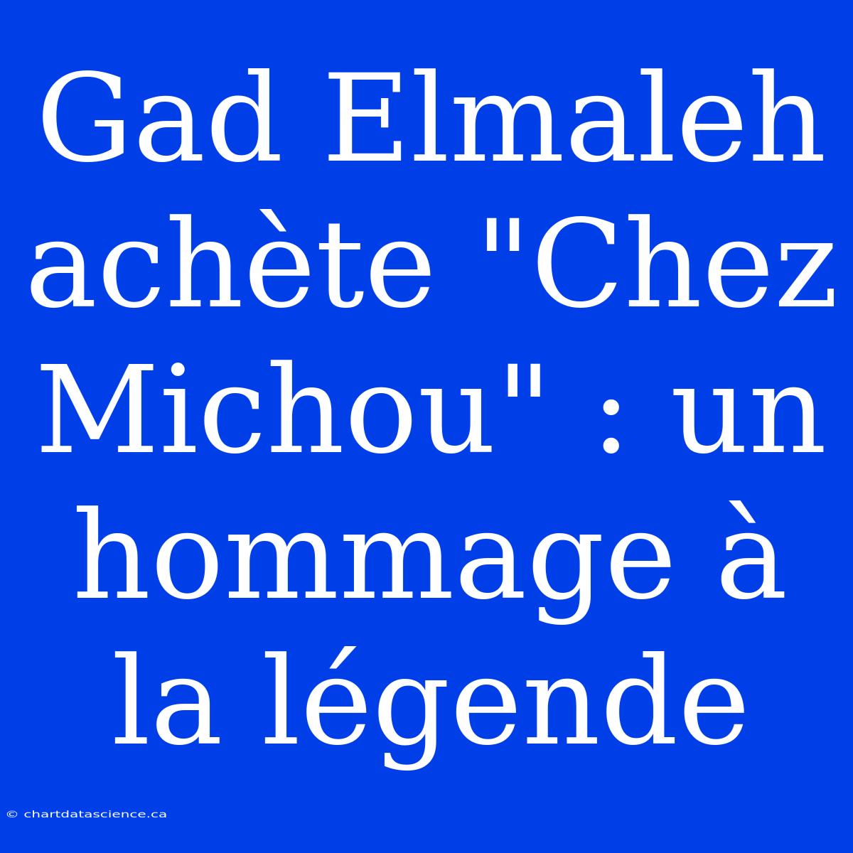 Gad Elmaleh Achète 