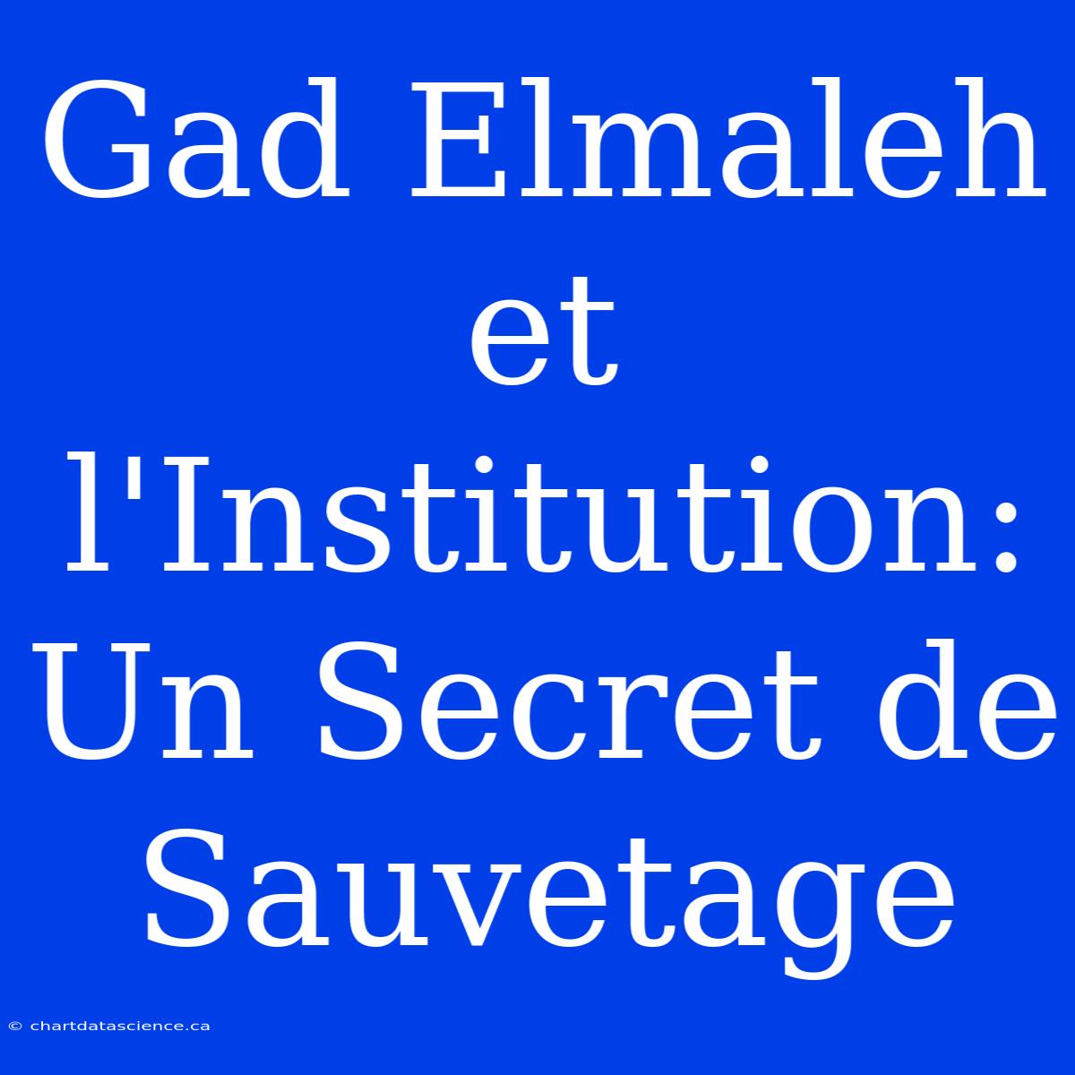 Gad Elmaleh Et L'Institution: Un Secret De Sauvetage