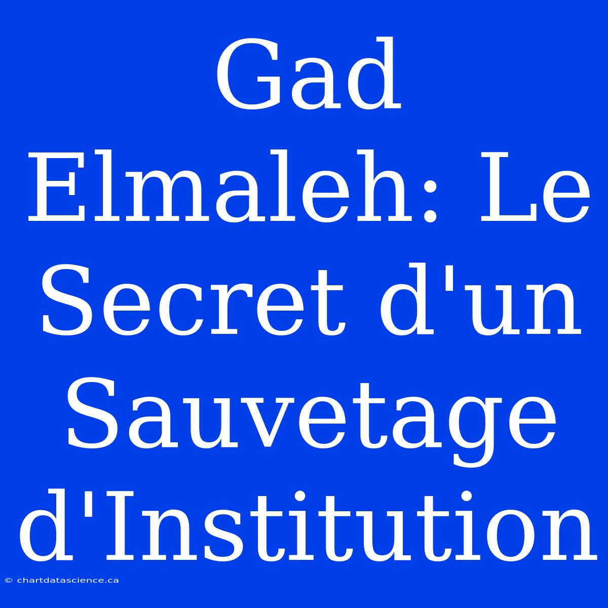 Gad Elmaleh: Le Secret D'un Sauvetage D'Institution