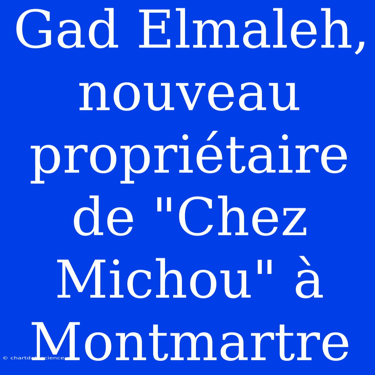 Gad Elmaleh, Nouveau Propriétaire De 