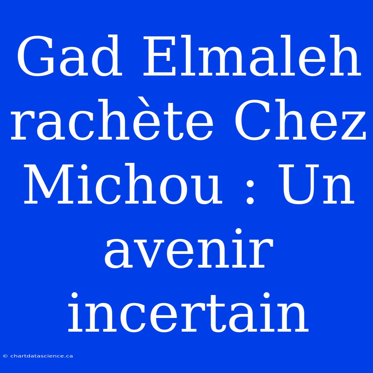 Gad Elmaleh Rachète Chez Michou : Un Avenir Incertain