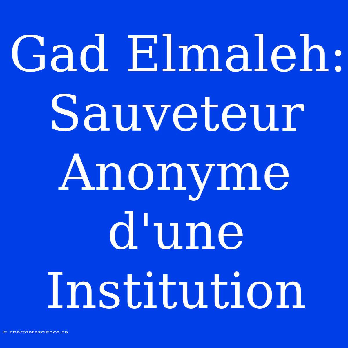 Gad Elmaleh: Sauveteur Anonyme D'une Institution