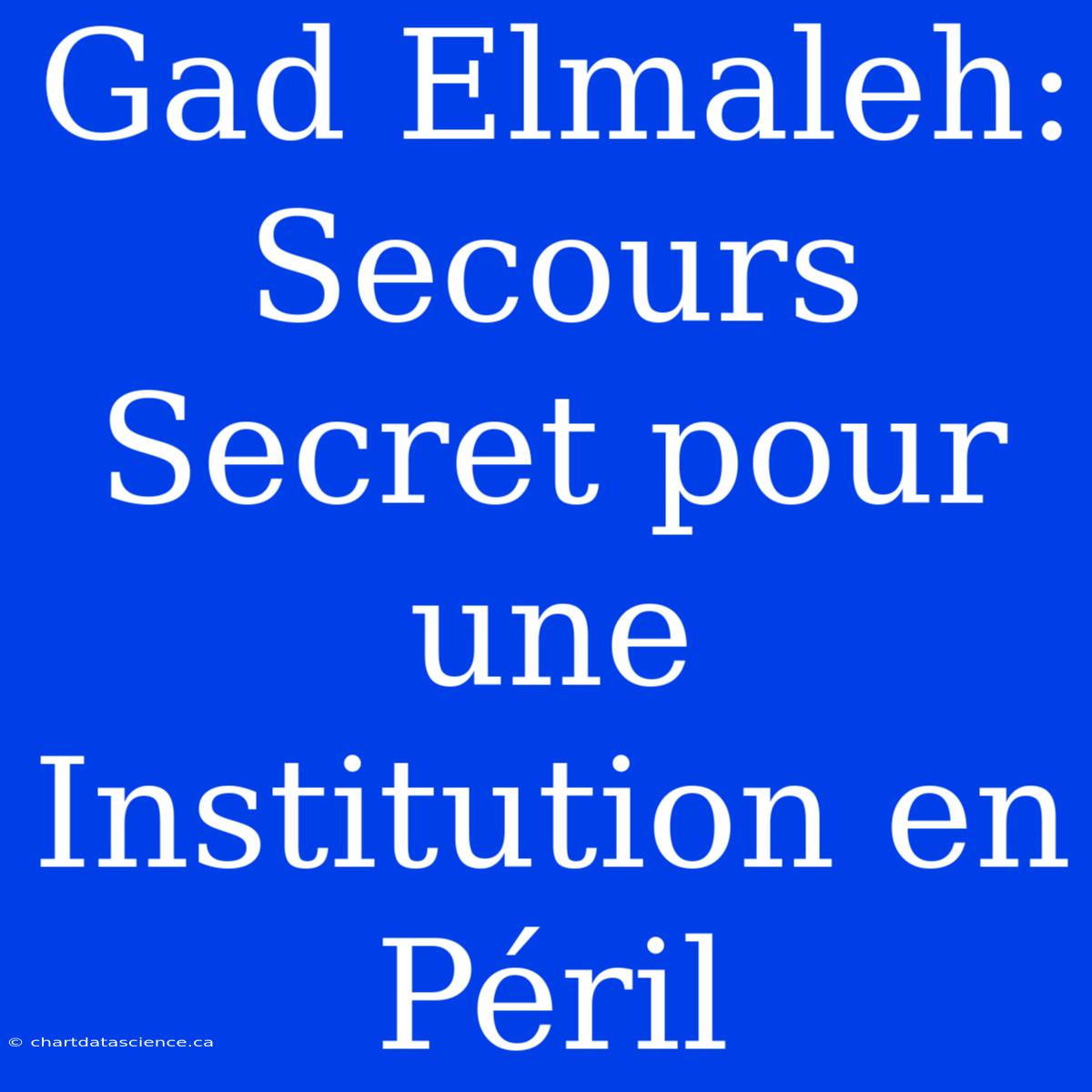 Gad Elmaleh: Secours Secret Pour Une Institution En Péril