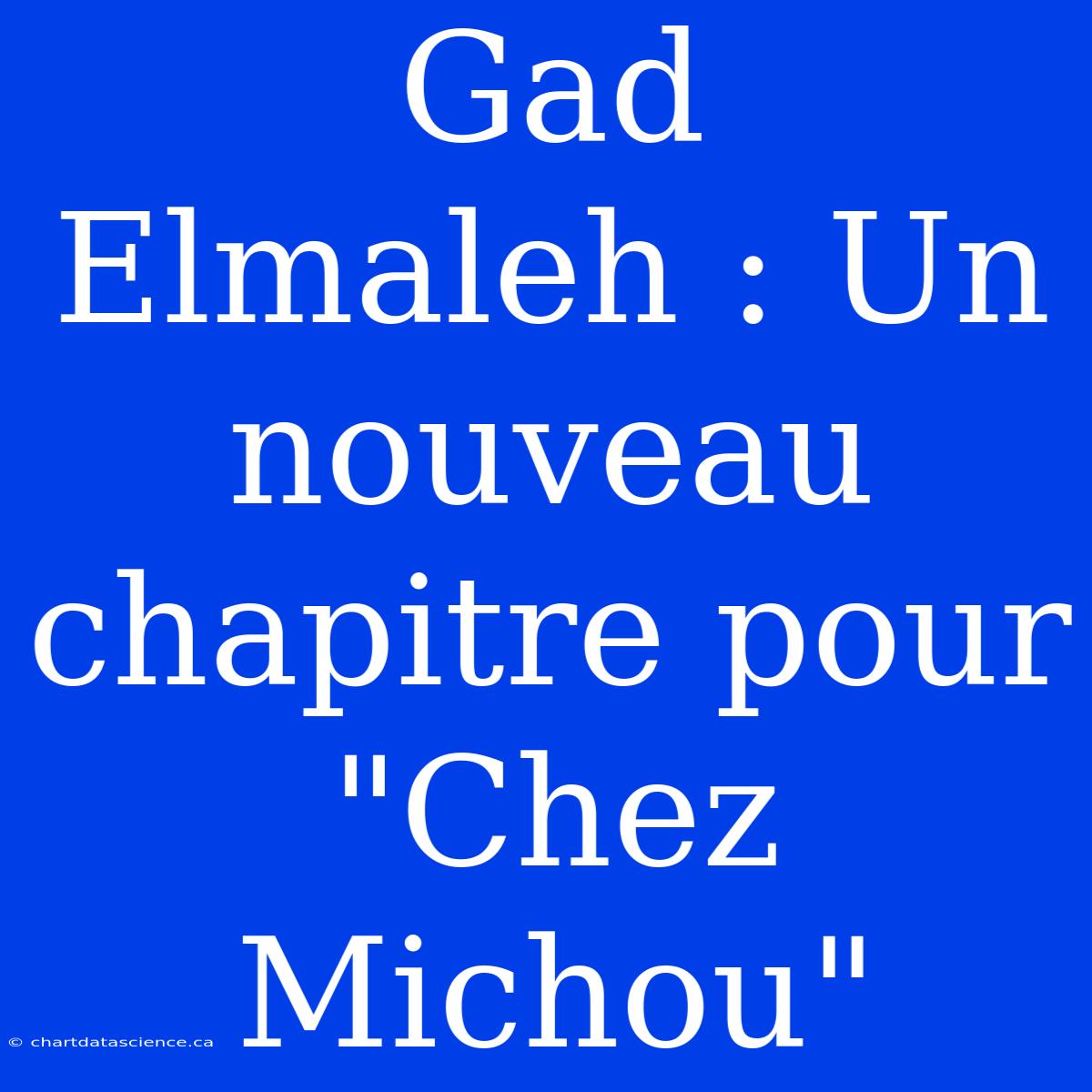 Gad Elmaleh : Un Nouveau Chapitre Pour 