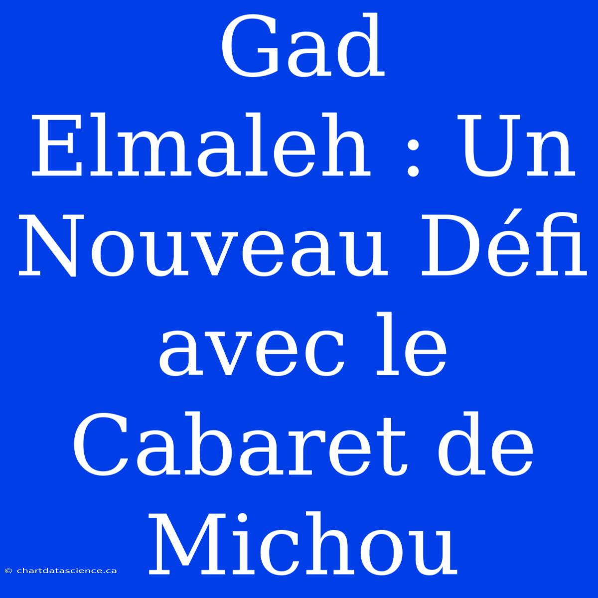 Gad Elmaleh : Un Nouveau Défi Avec Le Cabaret De Michou