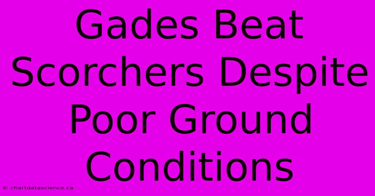 Gades Beat Scorchers Despite Poor Ground Conditions