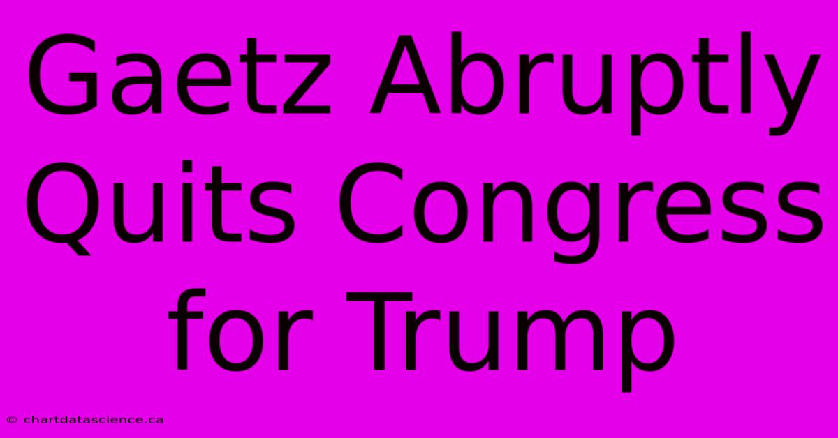 Gaetz Abruptly Quits Congress For Trump