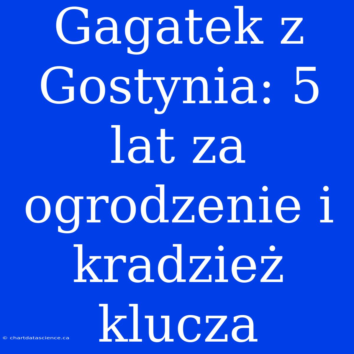 Gagatek Z Gostynia: 5 Lat Za Ogrodzenie I Kradzież Klucza