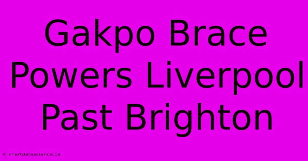 Gakpo Brace Powers Liverpool Past Brighton