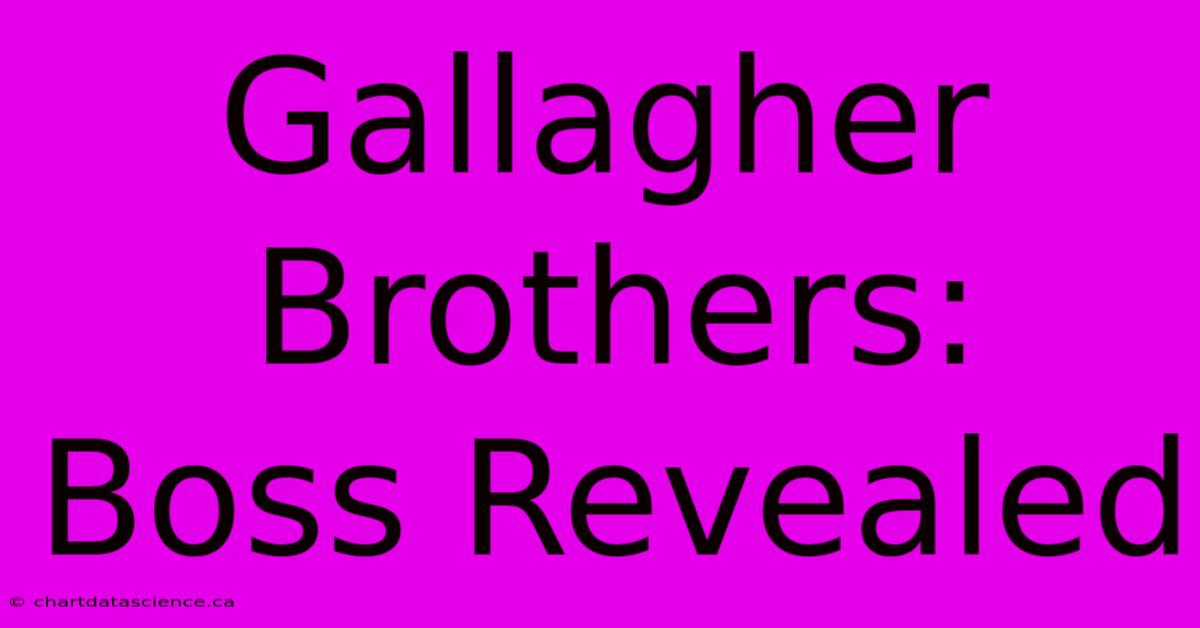 Gallagher Brothers: Boss Revealed