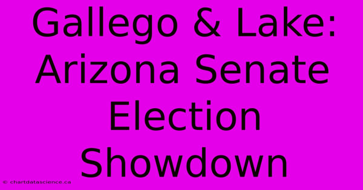 Gallego & Lake: Arizona Senate Election Showdown