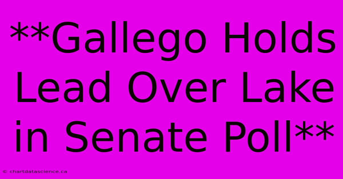 **Gallego Holds Lead Over Lake In Senate Poll**