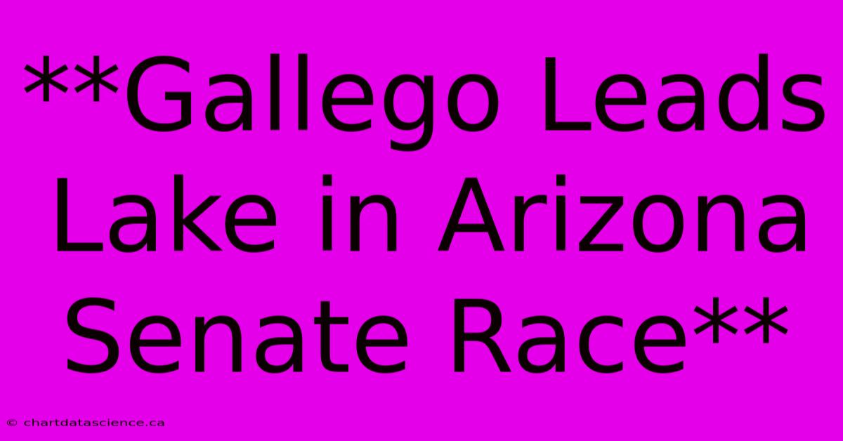 **Gallego Leads Lake In Arizona Senate Race**