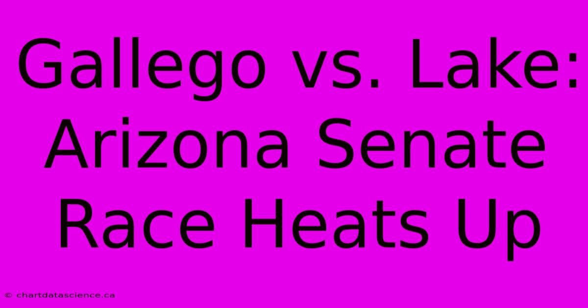 Gallego Vs. Lake: Arizona Senate Race Heats Up