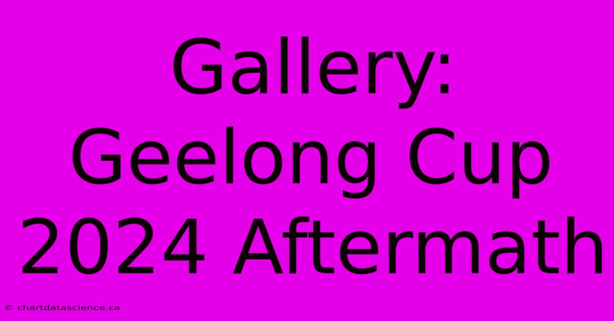 Gallery: Geelong Cup 2024 Aftermath